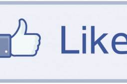 slider-thumb