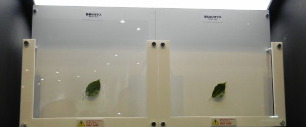 invisible-glass-banner