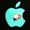 apple-macbook-mit-lcd-monitor-im-apfel-2
