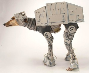 macht seinem Hund einen AT-AT