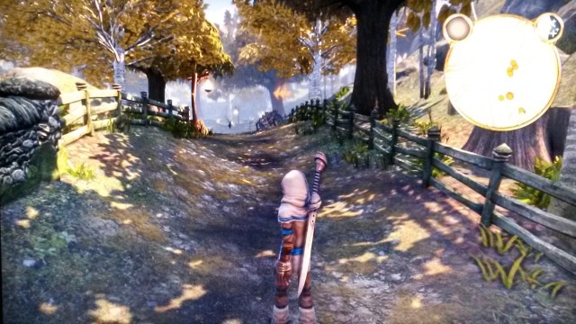 Fable Anniversary - 3