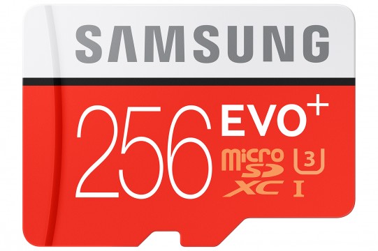 Samsung 256GB microSD Karte - 1