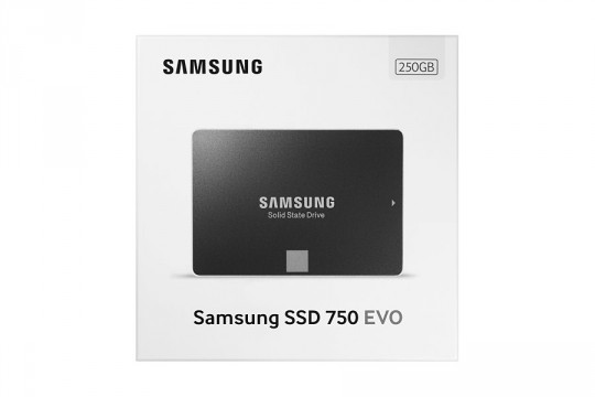 Samsung SSD 750 EVO 250GB - 4