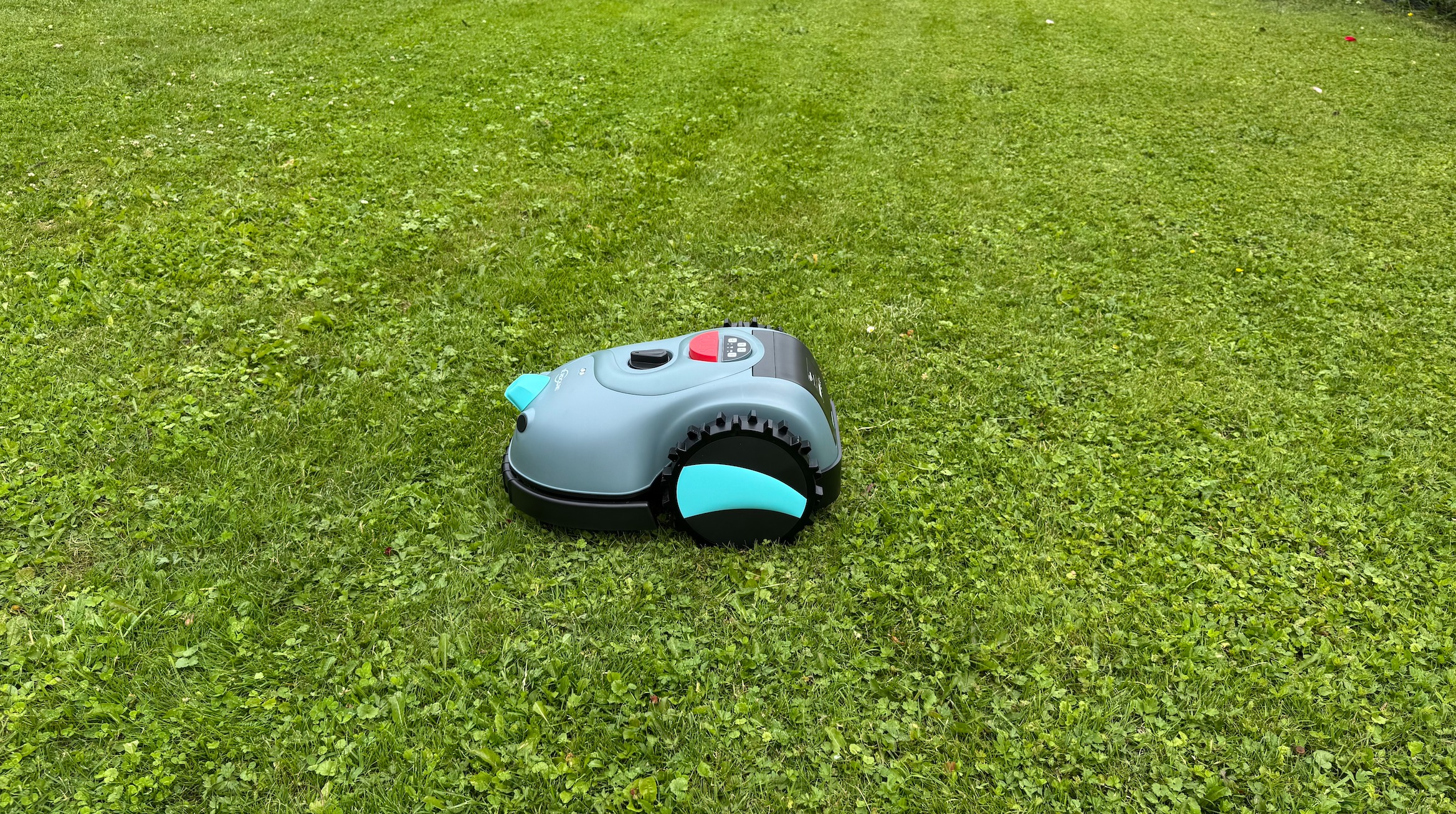 Yardcare V100 Praxistest Rasen